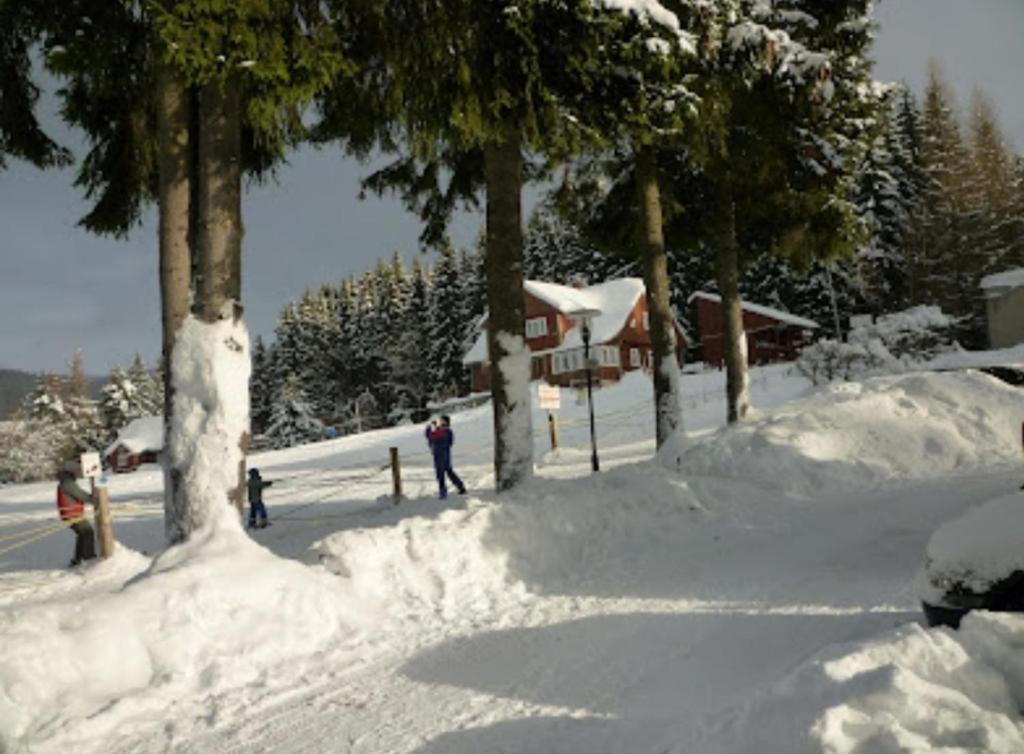 Relax Harrachov Apartments Dış mekan fotoğraf